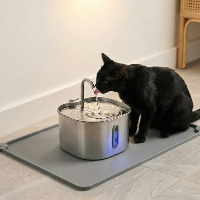 Health And Happiness Cat Kit