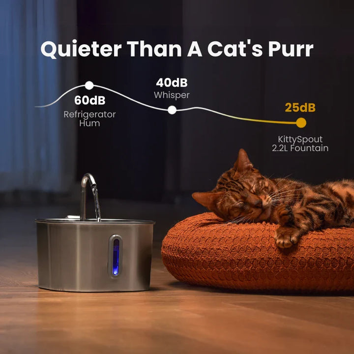 Health And Happiness Cat Kit