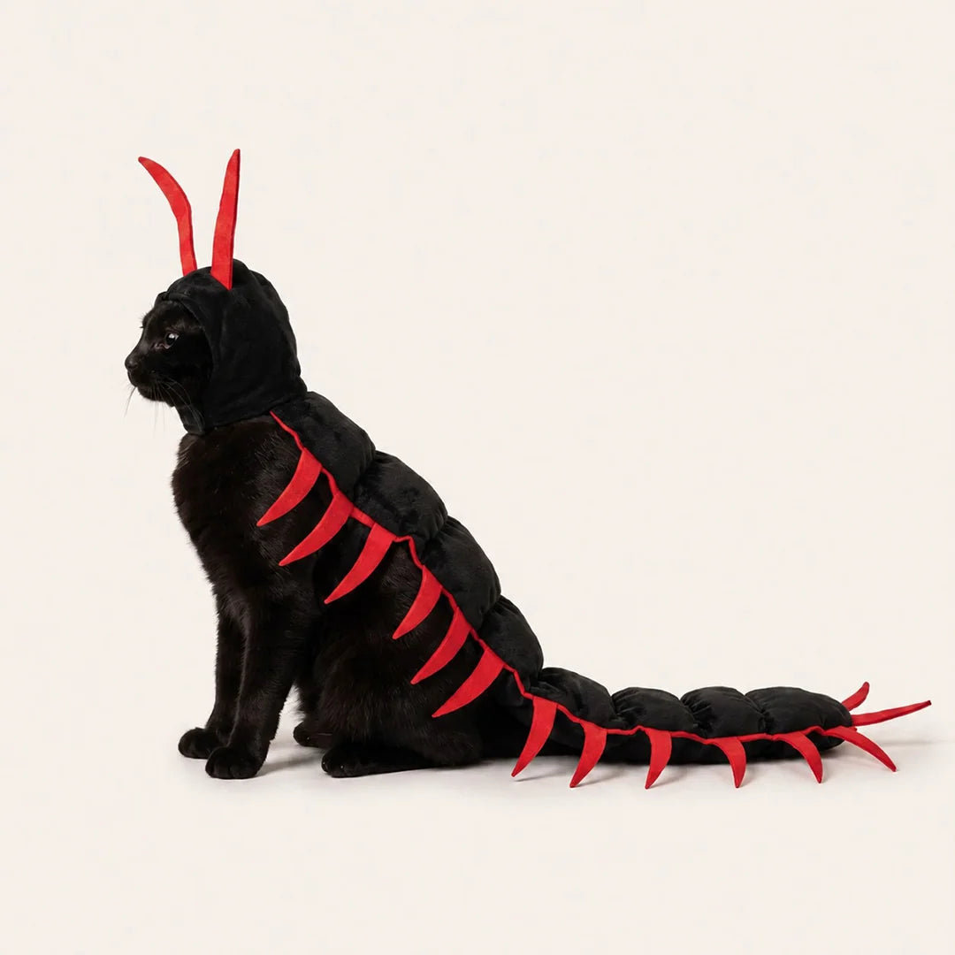 Cat Centipede Costume for Halloween