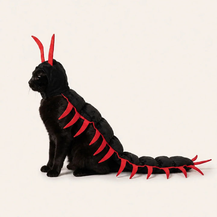 Cat Centipede Costume for Halloween