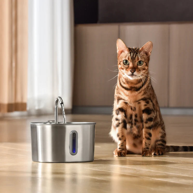 Health And Happiness Cat Kit