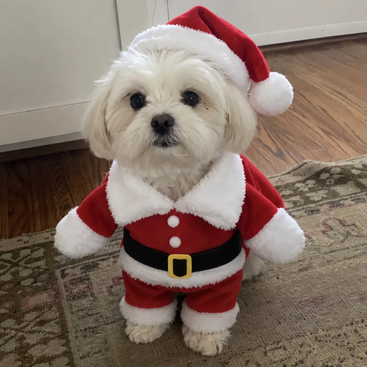 Cozy Christmas Pajamas for Small Dogs