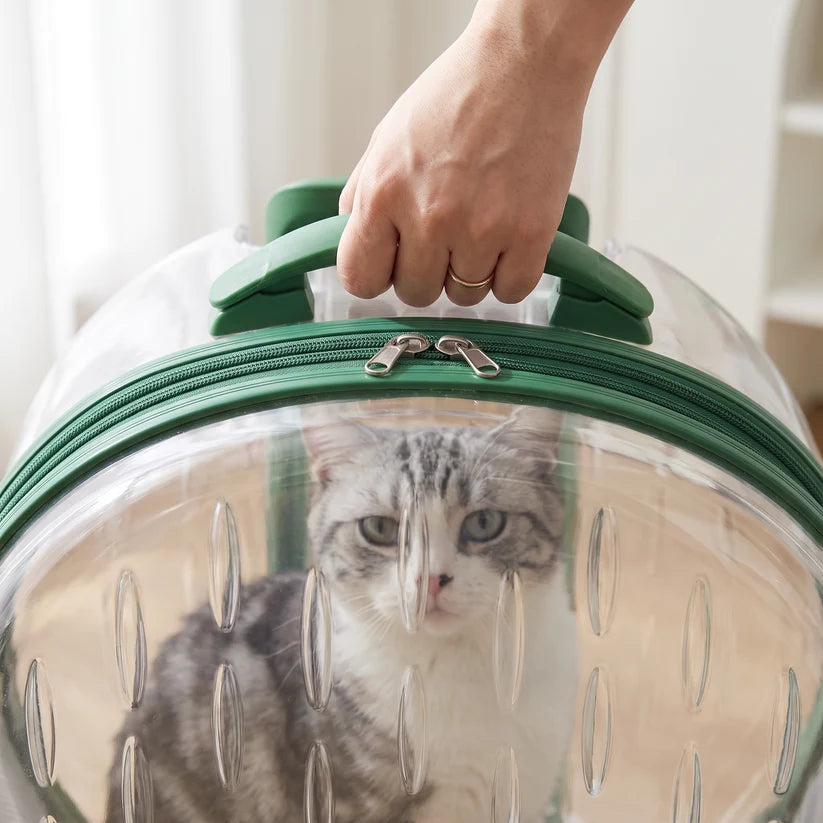 Cat Carrier on Wheels: No More Heavy Lifting