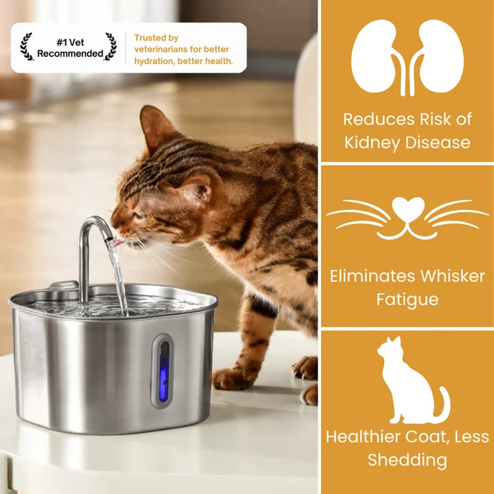 Health And Happiness Cat Kit