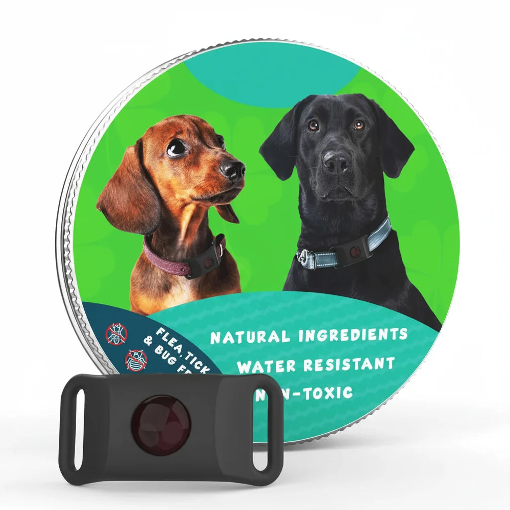 Flea and Tick Free