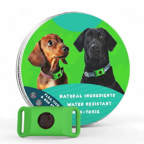 Flea and Tick Free
