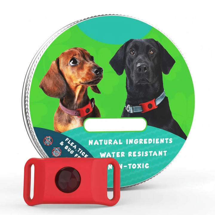 Flea and Tick Free