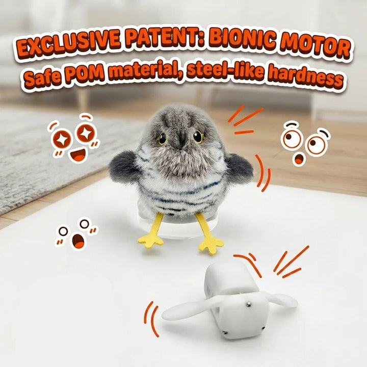 Cute Little Birds
