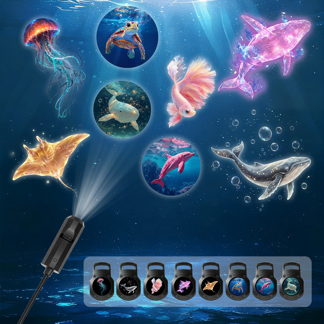 Ocean Projector