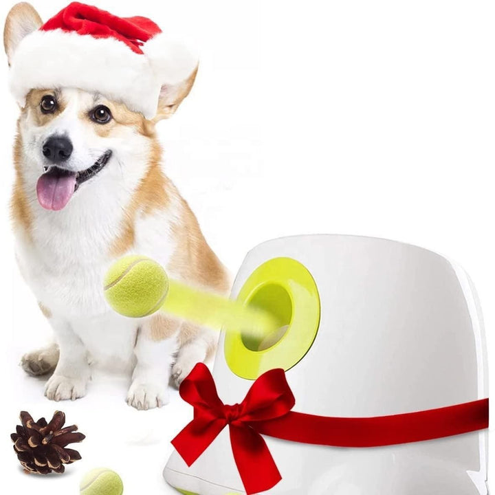 Automatic Dog Ball Launcher