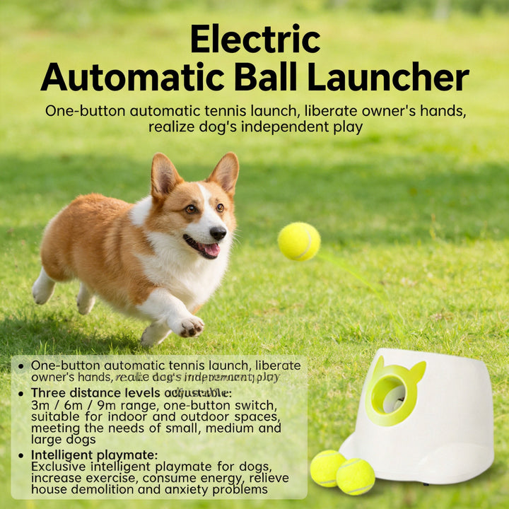 Automatic Dog Ball Launcher