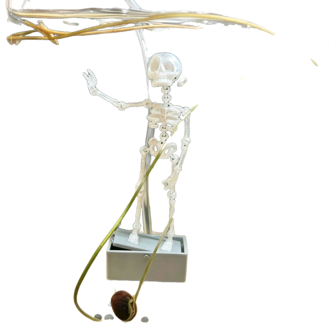 Dancing Skeleton Aquarium Bubbler