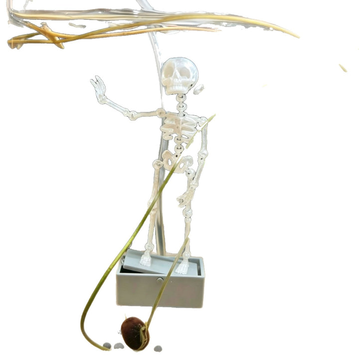 Dancing Skeleton Aquarium Bubbler