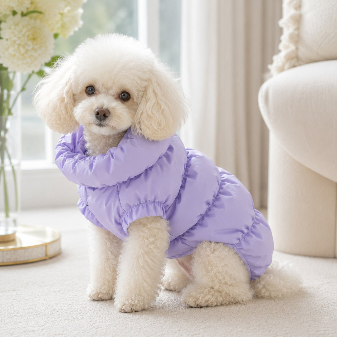 Warm Thickened Pet Vest with Hidden Buttons for Dogs