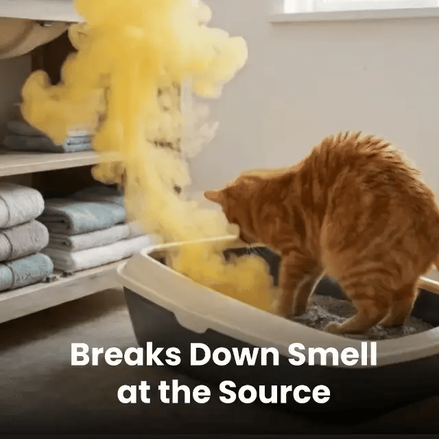Eliminate Pet  Smells In Under 24 Hours & Stop Them From Coming Back