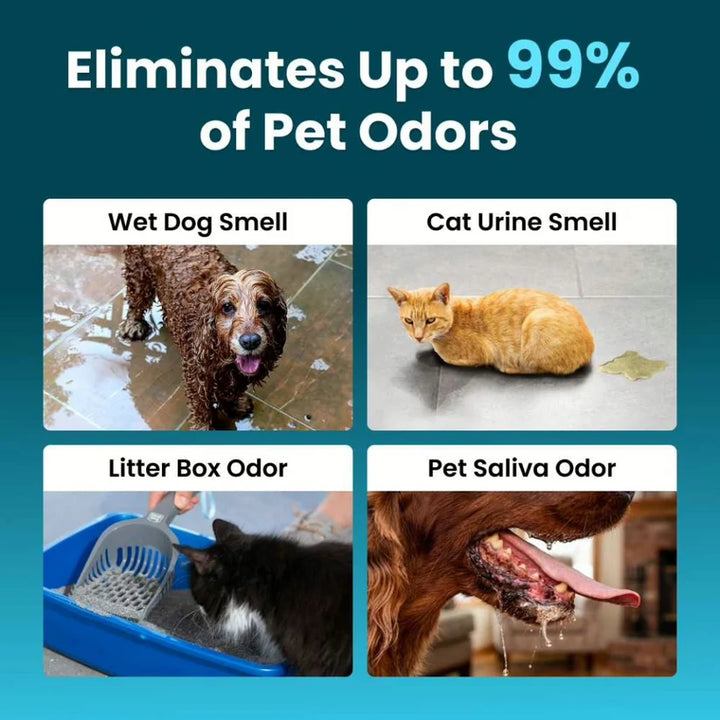 Eliminate Pet  Smells In Under 24 Hours & Stop Them From Coming Back
