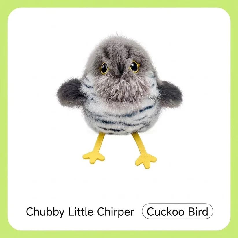 Cute Little Birds