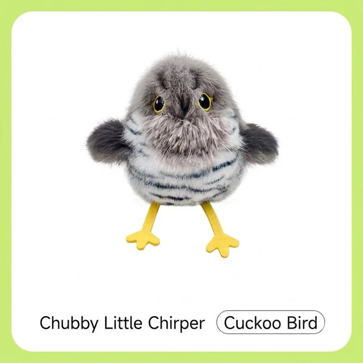 Cute Little Birds