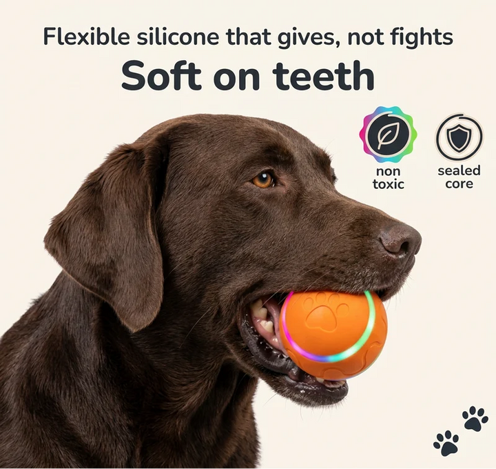 Interactive Rolling Ball Cat Toy with Gravity Sensor