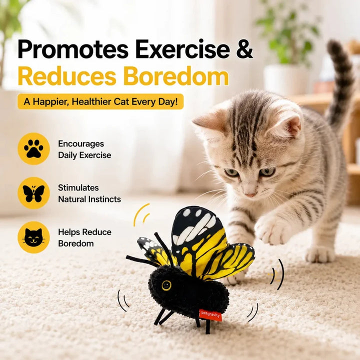 Interactive Electric Butterfly & Bluebird Cat Toy