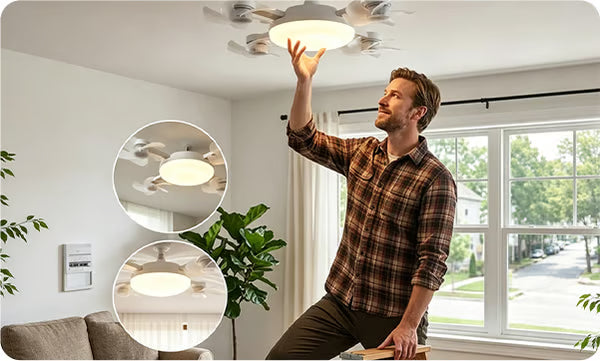 Ceiling Fan Light Bulb